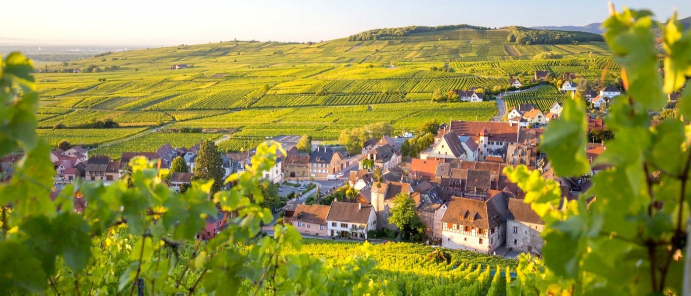 Beautiful Villages of France - Wine Paths